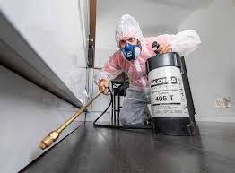 Best Fumigation Services  in Avilla, IN